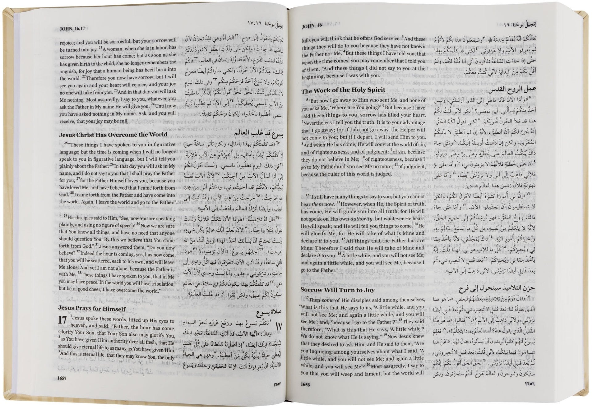 Holy Bible Arabic English | St. Moses Bookstore
